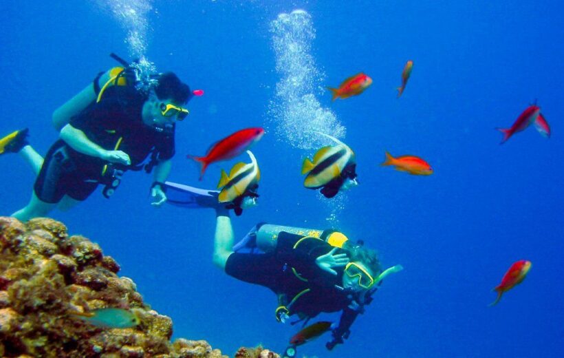 Scuba diving Sharm El Sheikh