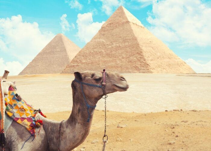 Tour to Giza Pyramids And Egyptian Museum & Old Cairo